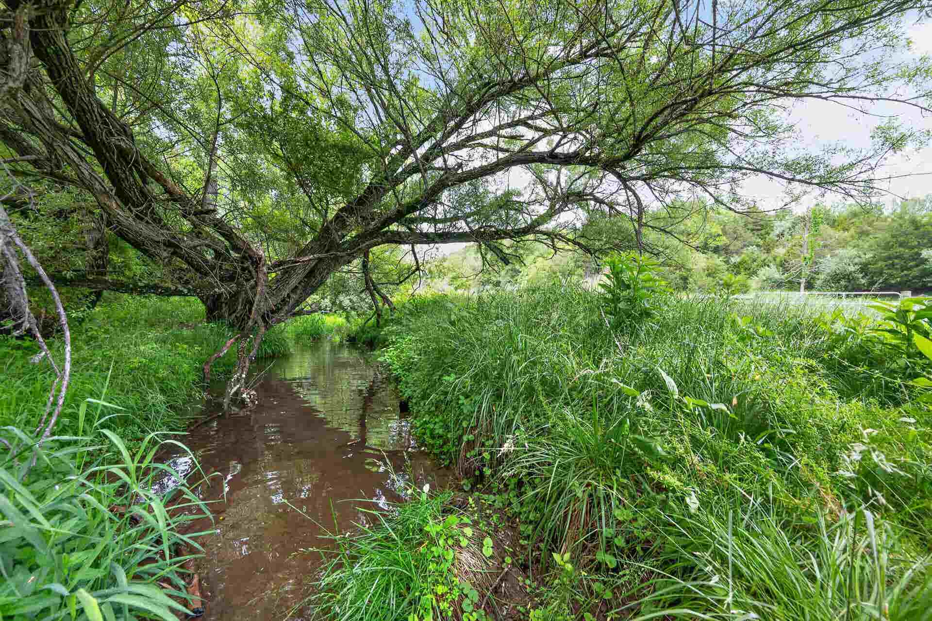 5000 LONG SHOP Road, Blacksburg, VA 24060