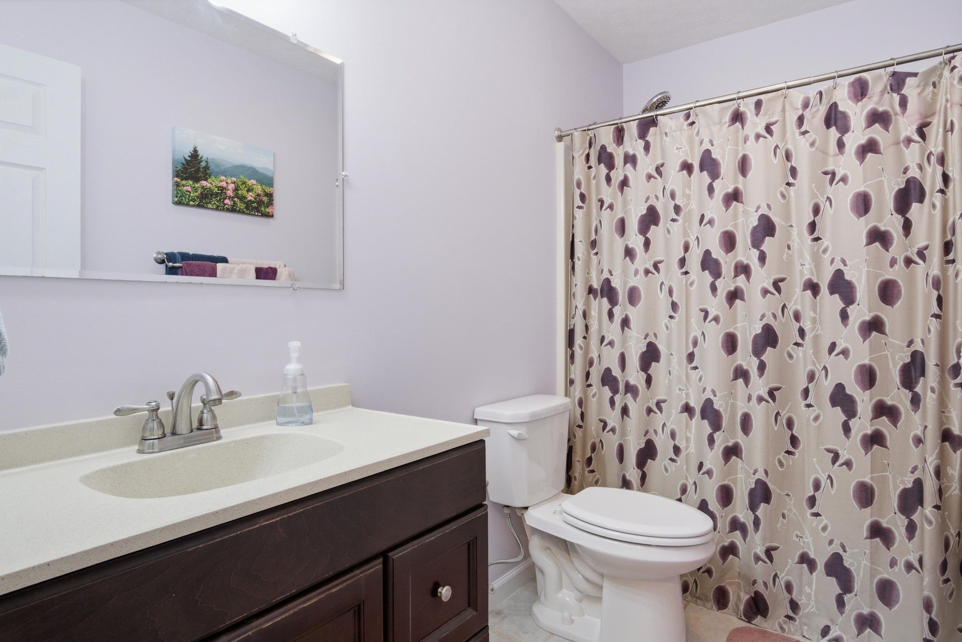 705 INGLES Street, Radford, VA 24141