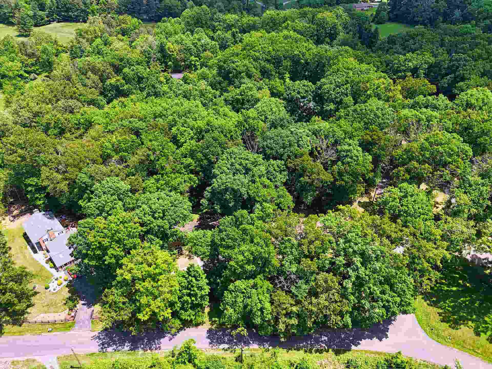 7252 TIMBERLANE Drive, Radford, VA 24141