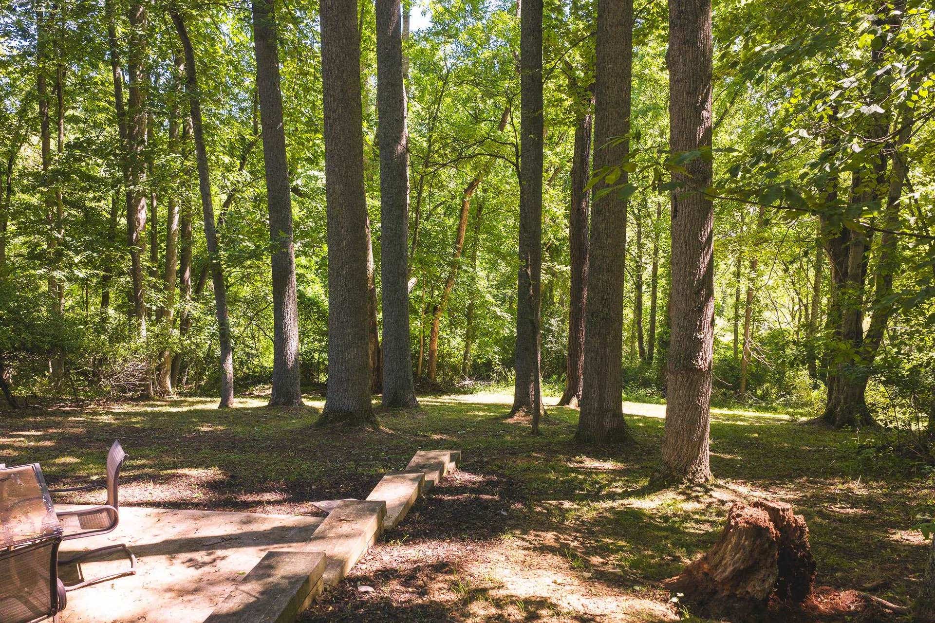 1200 Lakewood Drive, Blacksburg, VA 24060