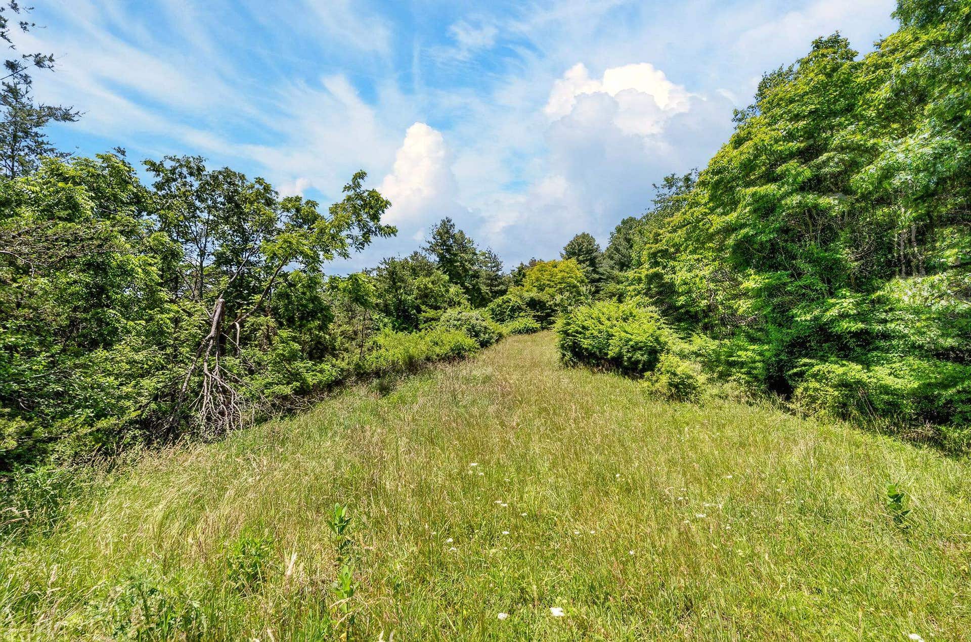 TBD 50 Acres Thunderstruck Road, Floyd, VA 24091
