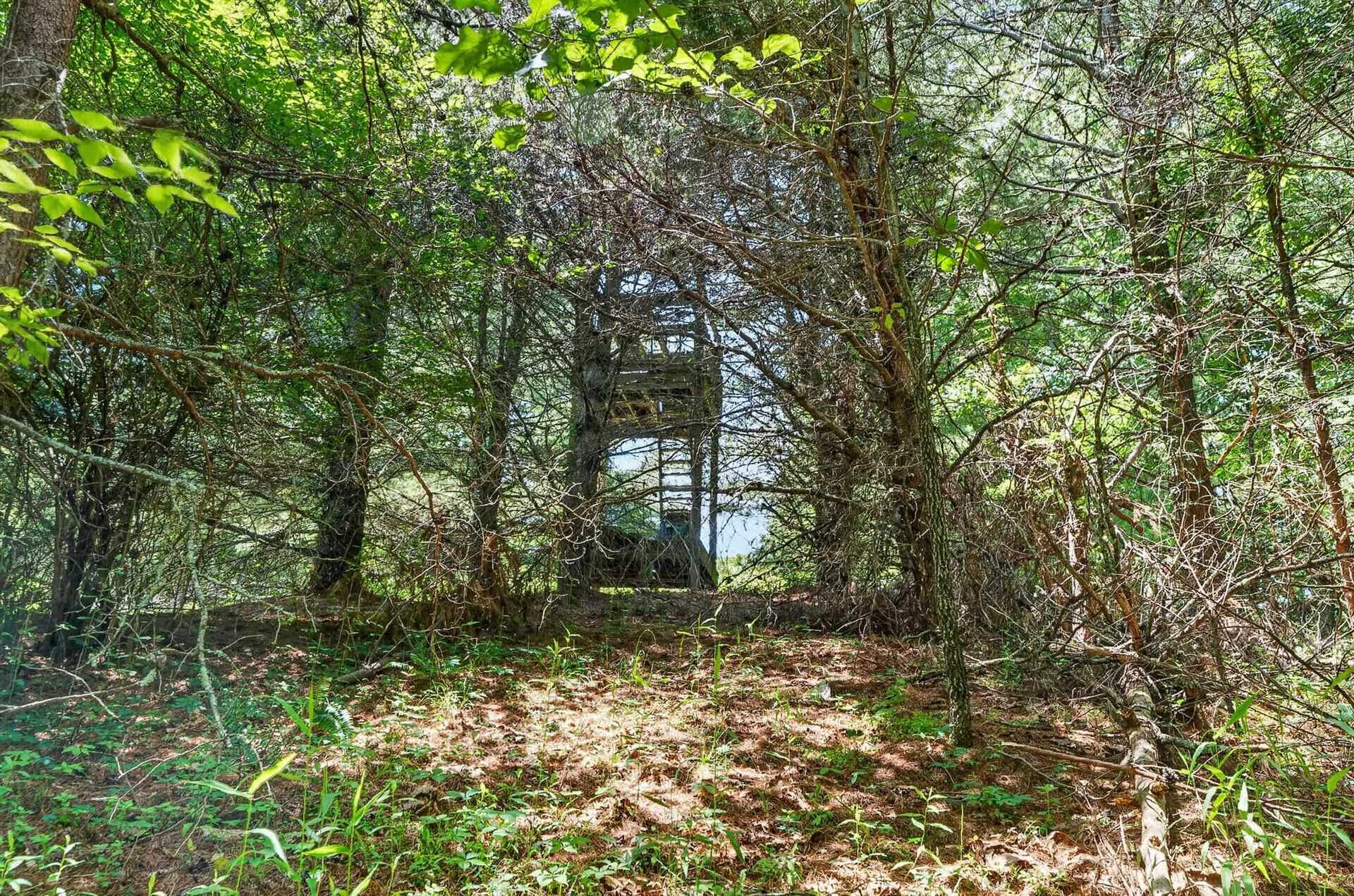 TBD 50 Acres Thunderstruck Road, Floyd, VA 24091