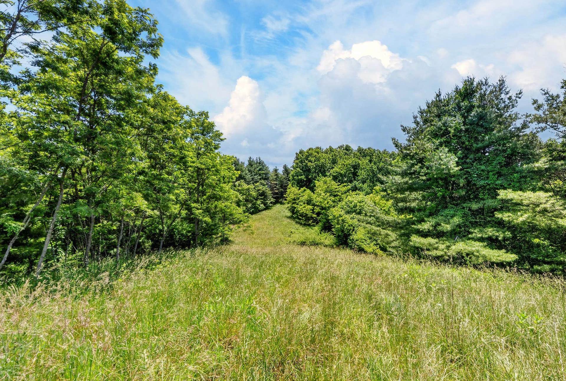 TBD 50 Acres Thunderstruck Road, Floyd, VA 24091