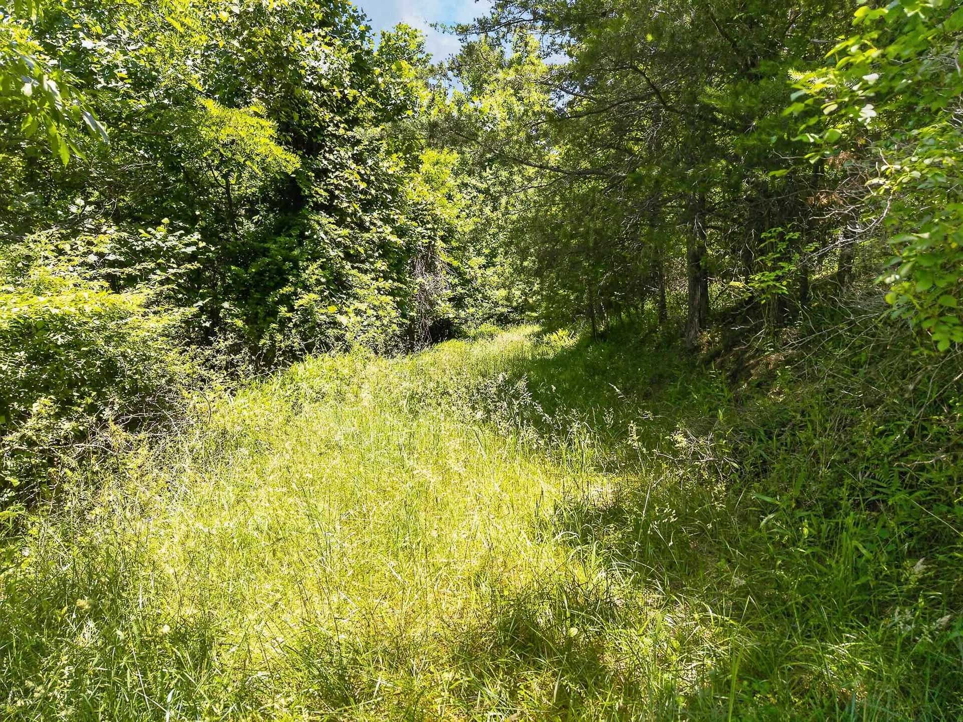 TBD 50 Acres Thunderstruck Road, Floyd, VA 24091