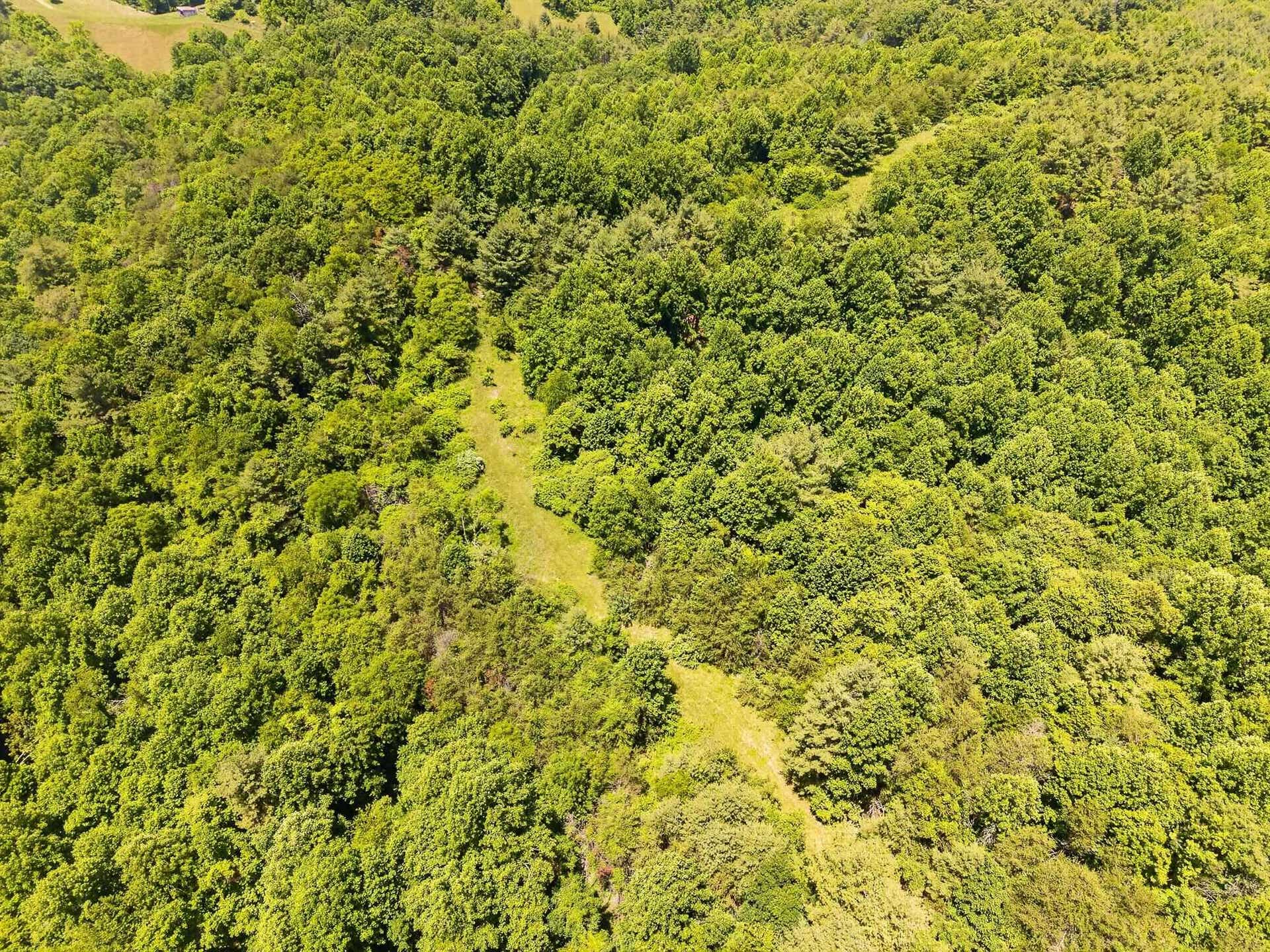 TBD 50 Acres Thunderstruck Road, Floyd, VA 24091