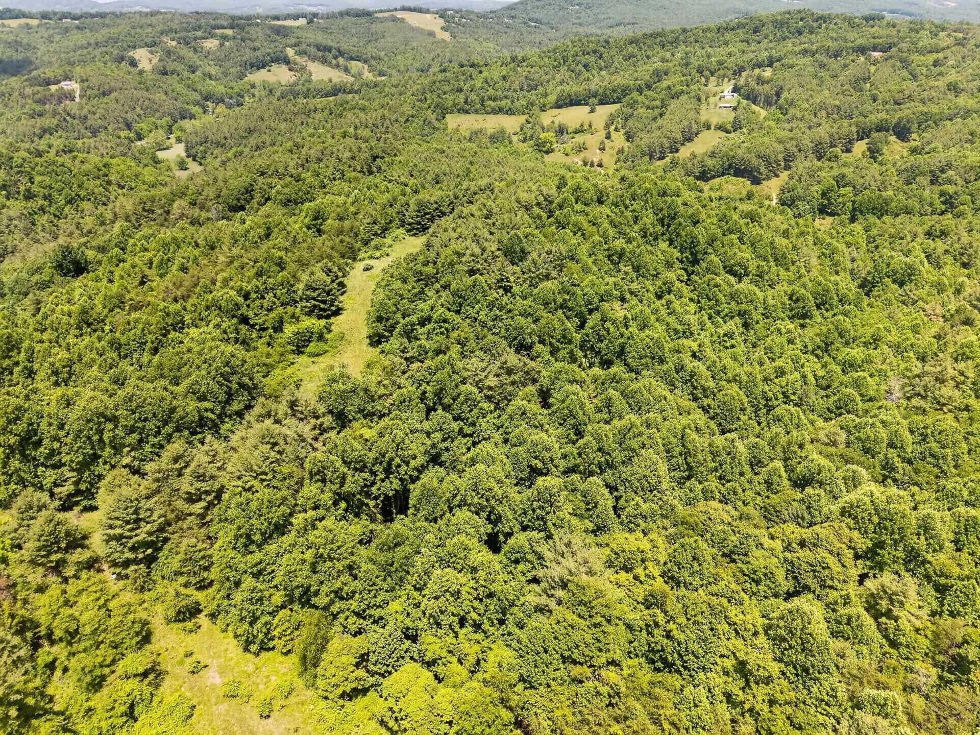 TBD 50 Acres Thunderstruck Road, Floyd, VA 24091
