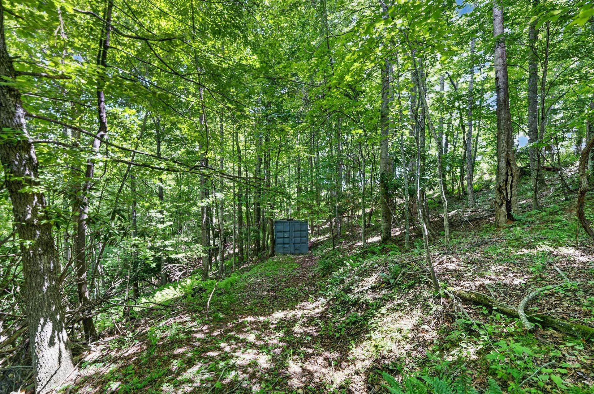 TBD 50 Acres Thunderstruck Road, Floyd, VA 24091
