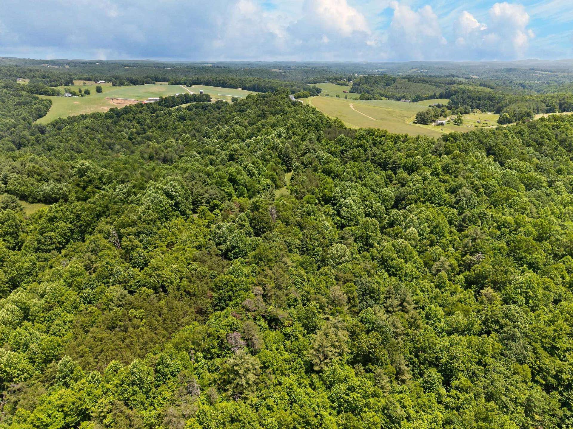 TBD 50 Acres Thunderstruck Road, Floyd, VA 24091
