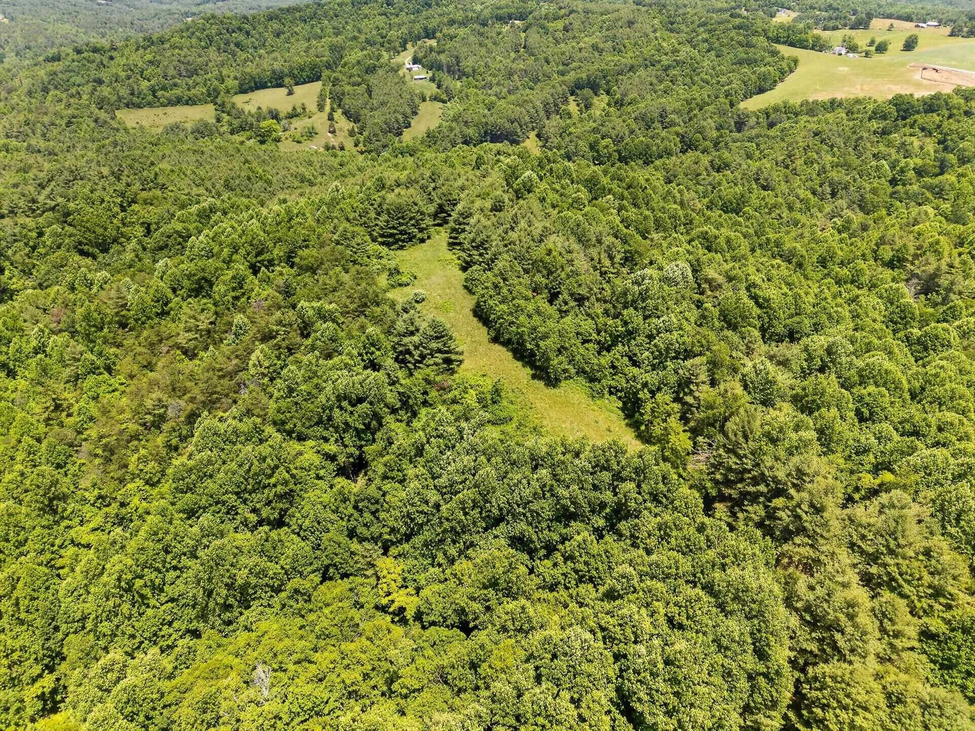TBD 50 Acres Thunderstruck Road, Floyd, VA 24091
