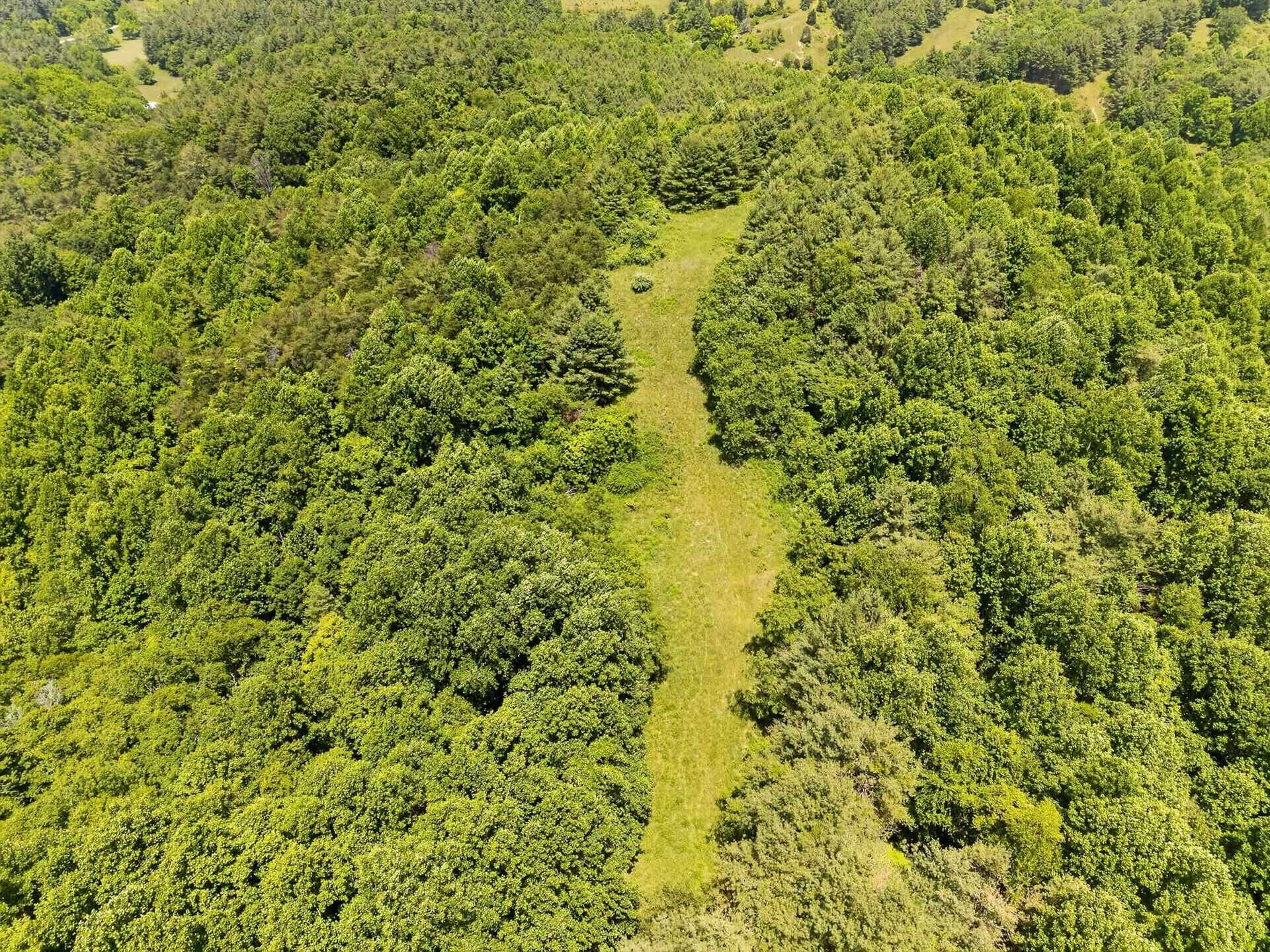 TBD 50 Acres Thunderstruck Road, Floyd, VA 24091