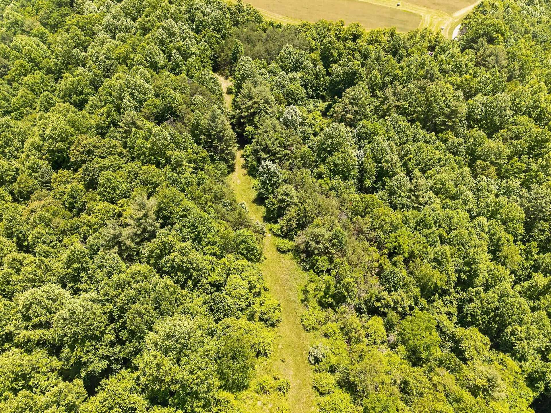 TBD 50 Acres Thunderstruck Road, Floyd, VA 24091