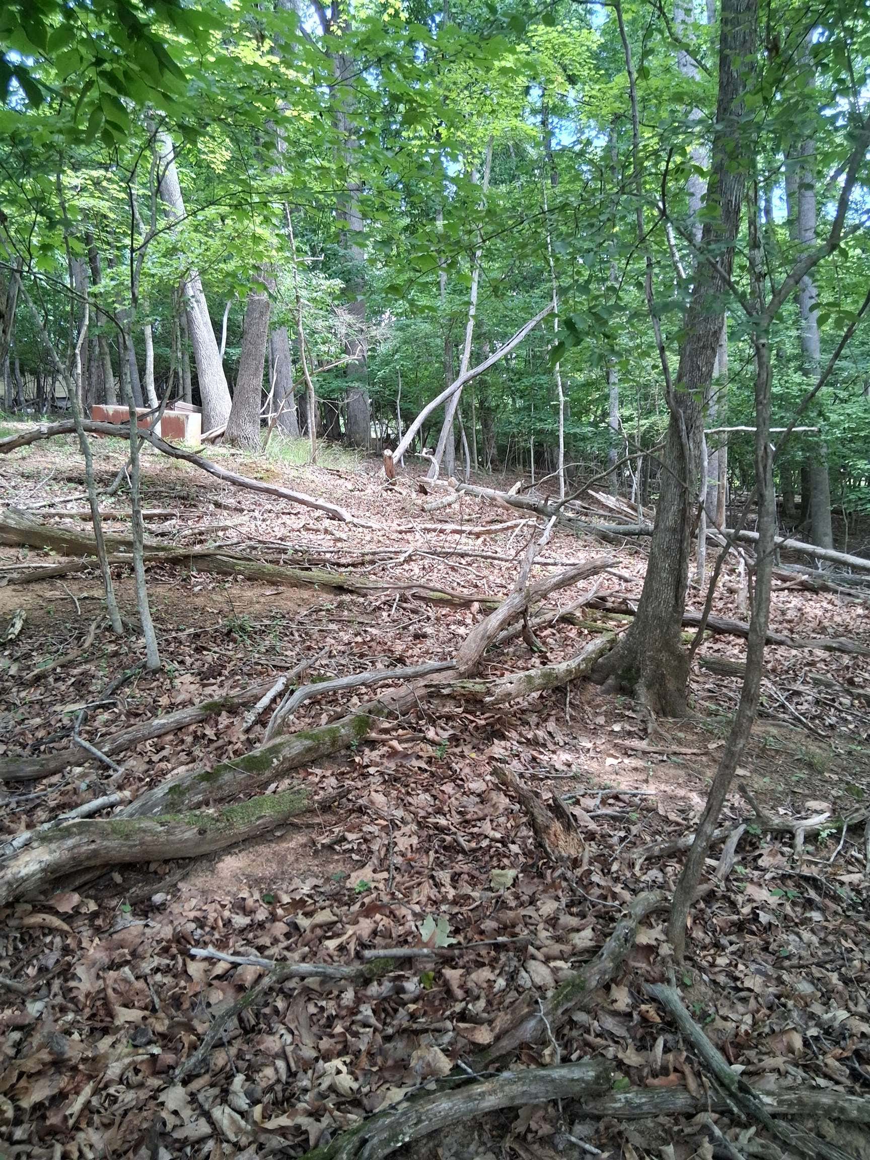 TBD Frazier Rd Road, Radford, VA 24141
