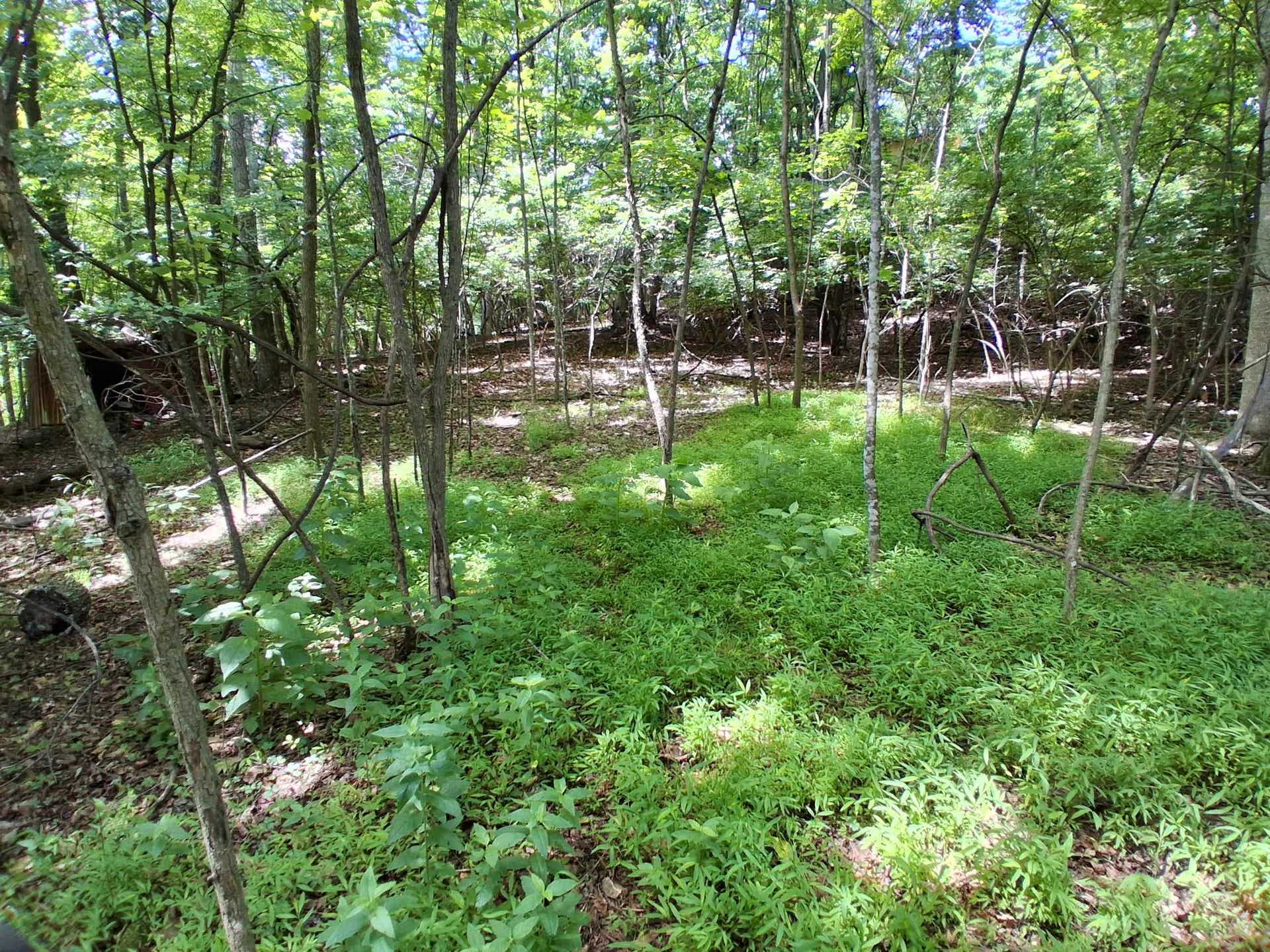 TBD Frazier Rd Road, Radford, VA 24141