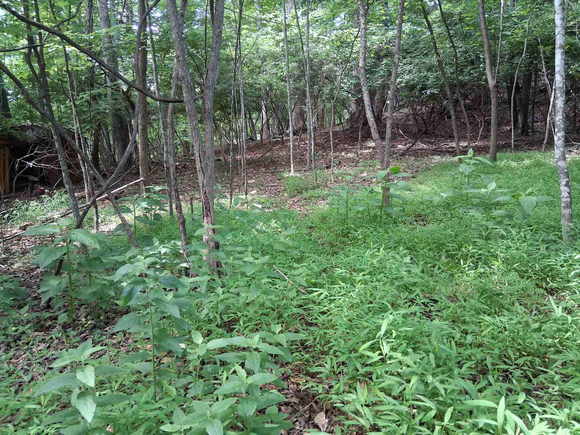 TBD Frazier Rd Road, Radford, VA 24141