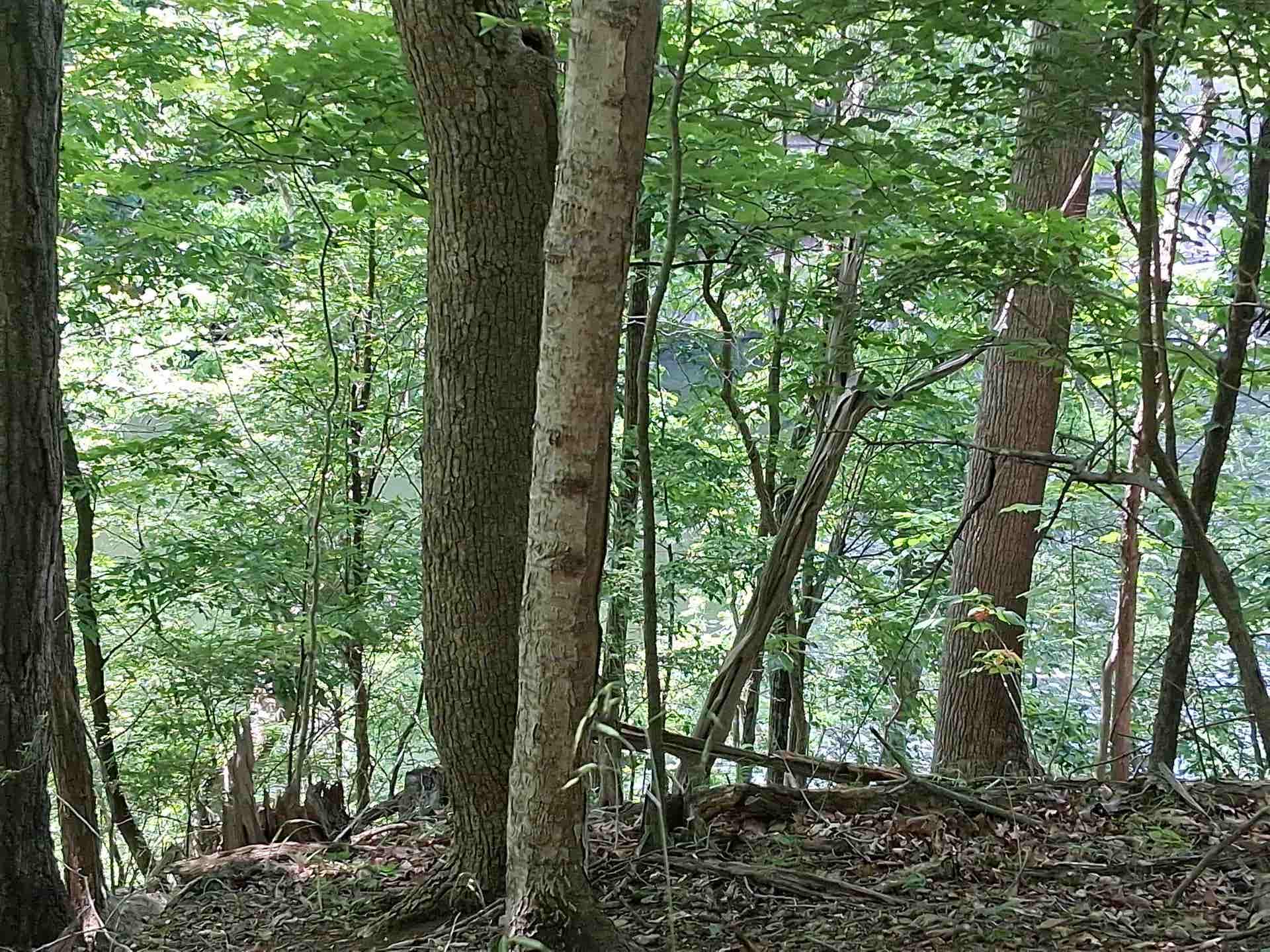 TBD Frazier Rd Road, Radford, VA 24141