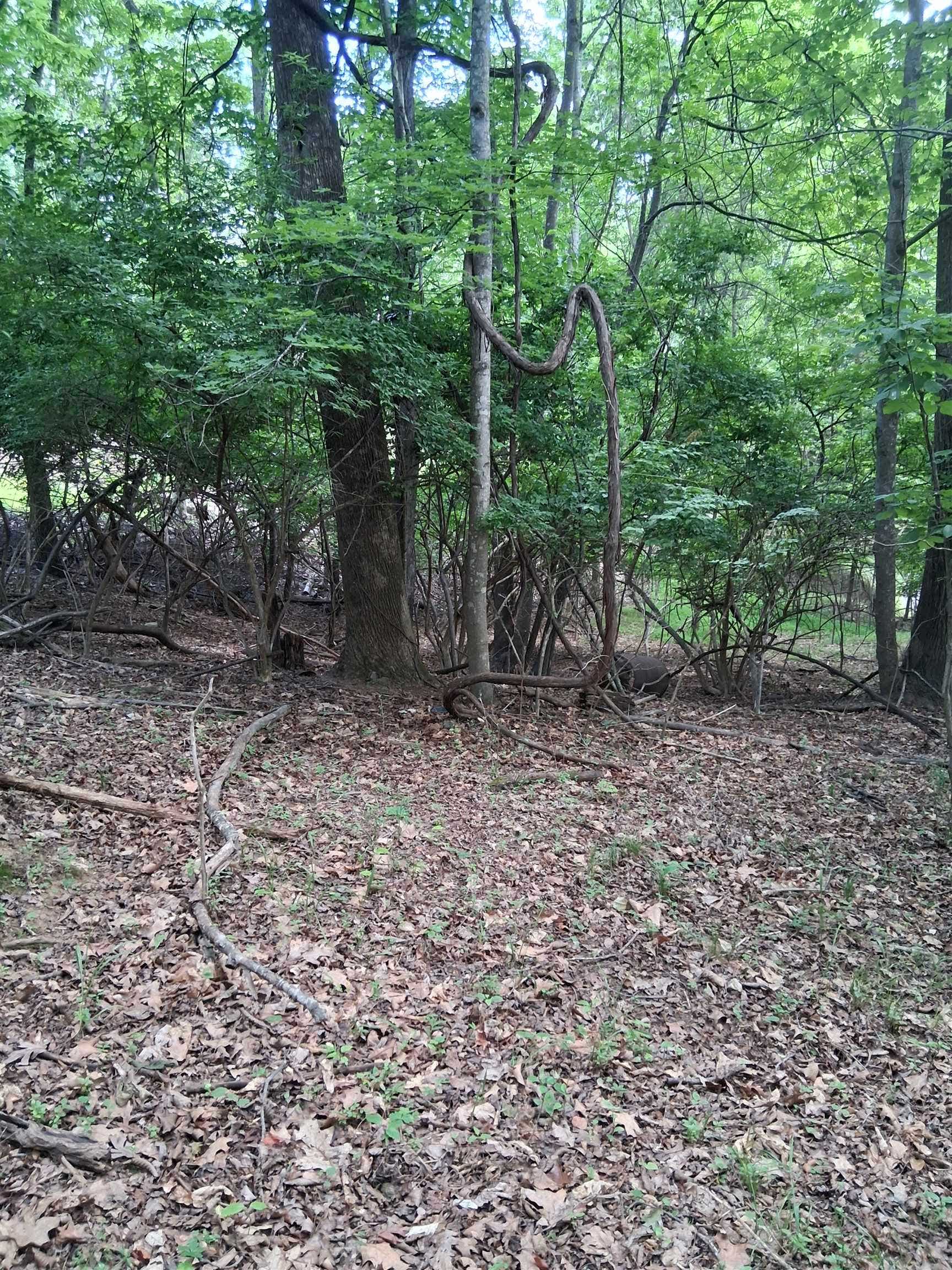 TBD Frazier Rd Road, Radford, VA 24141