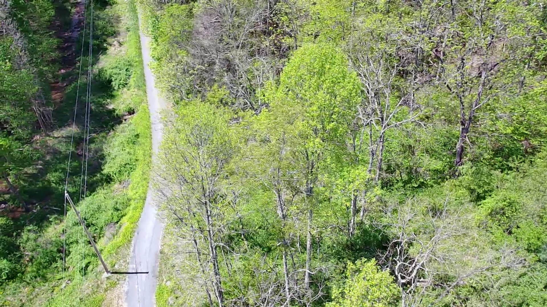 TBD Bob Byrd Road, Spanishburg, WV 25922