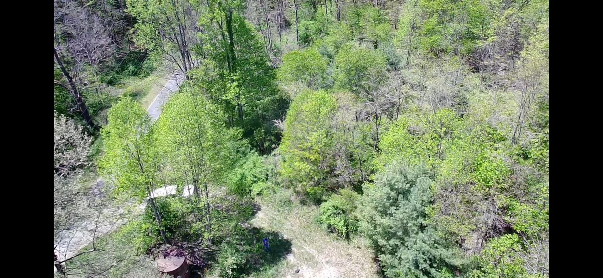 TBD Bob Byrd Road, Spanishburg, WV 25922