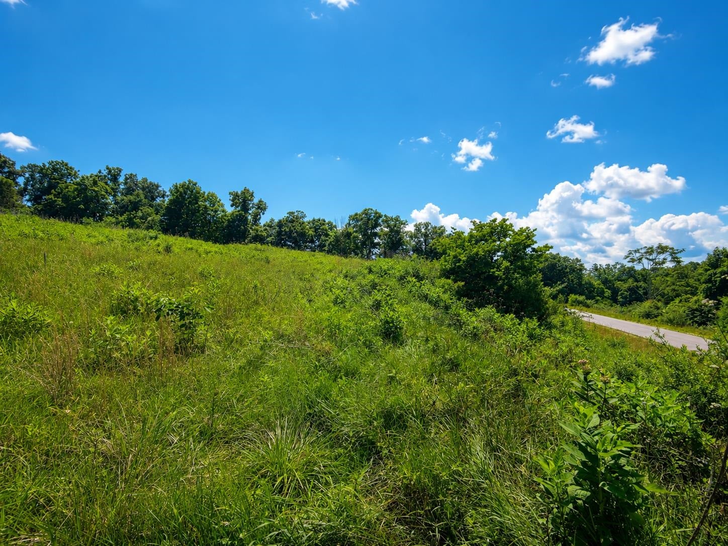 Lot 5 Green Tree Road, Pembroke, VA 24136