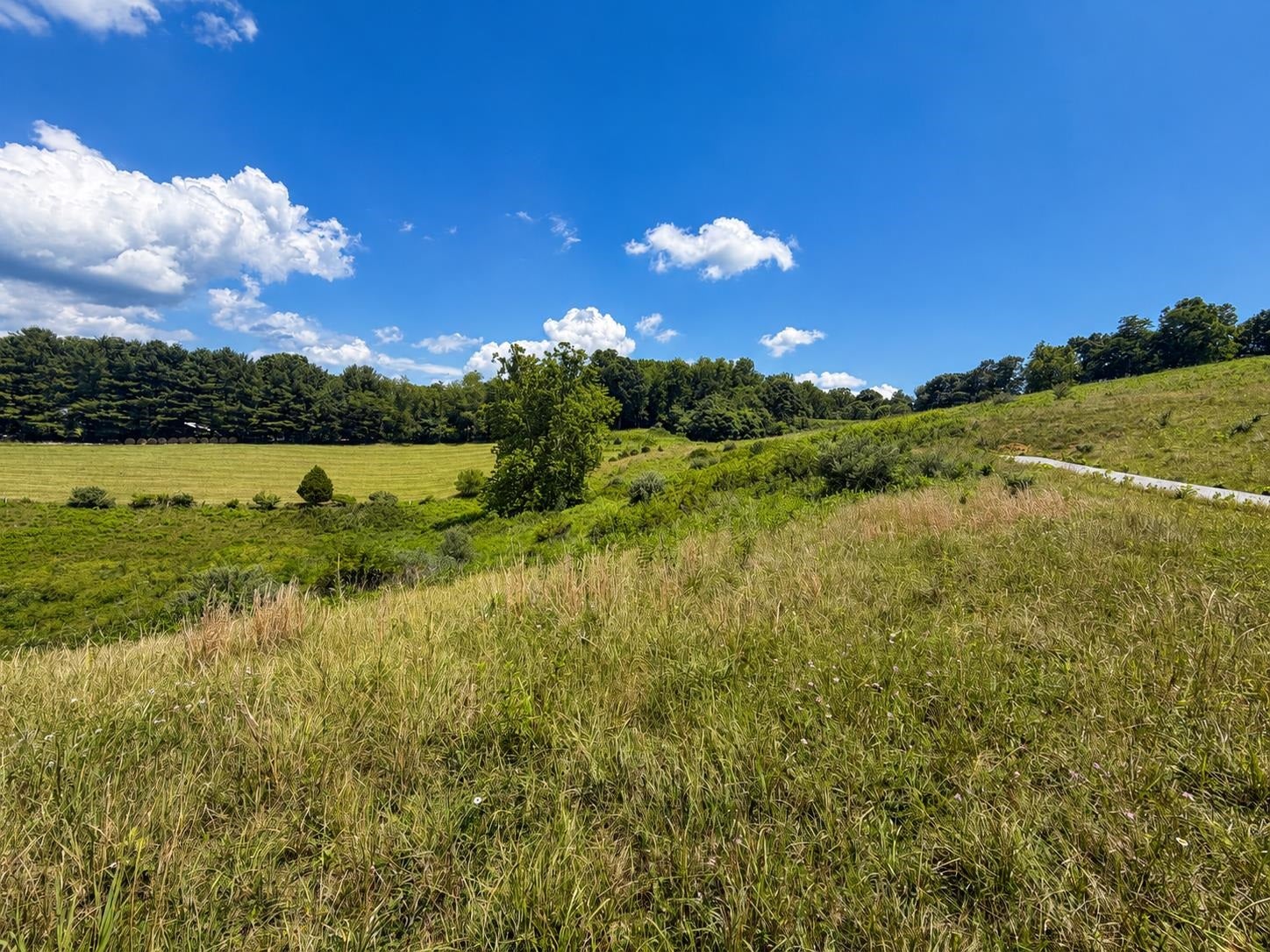 Lot 7 Panorama Drive, Pembroke, VA 24136