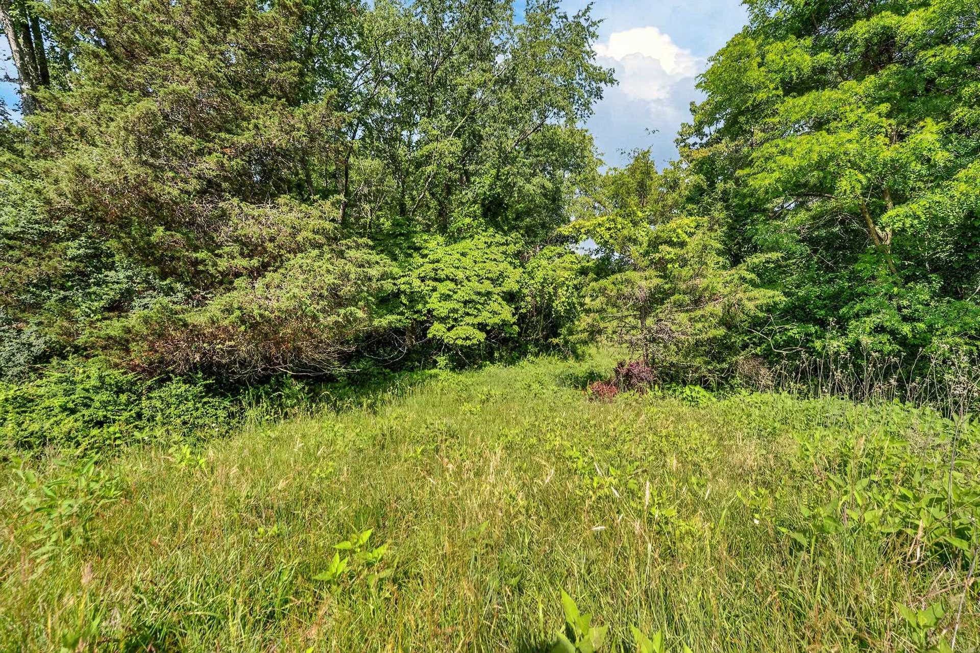 TBD Peppers Ferry Road, Pulaski, VA 24301