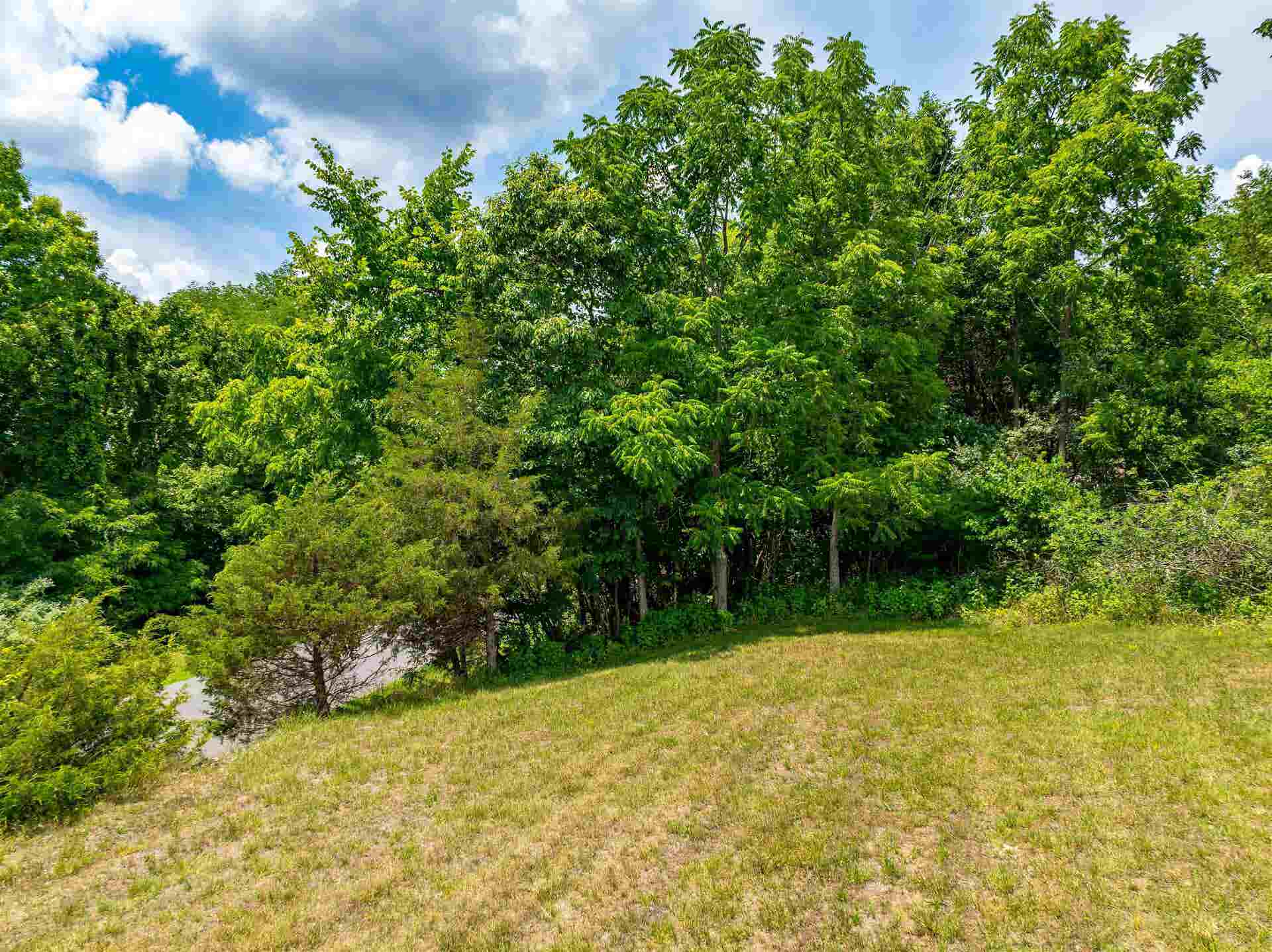 Lot 1 River Ridge Drive, Pearisburg, VA 24134