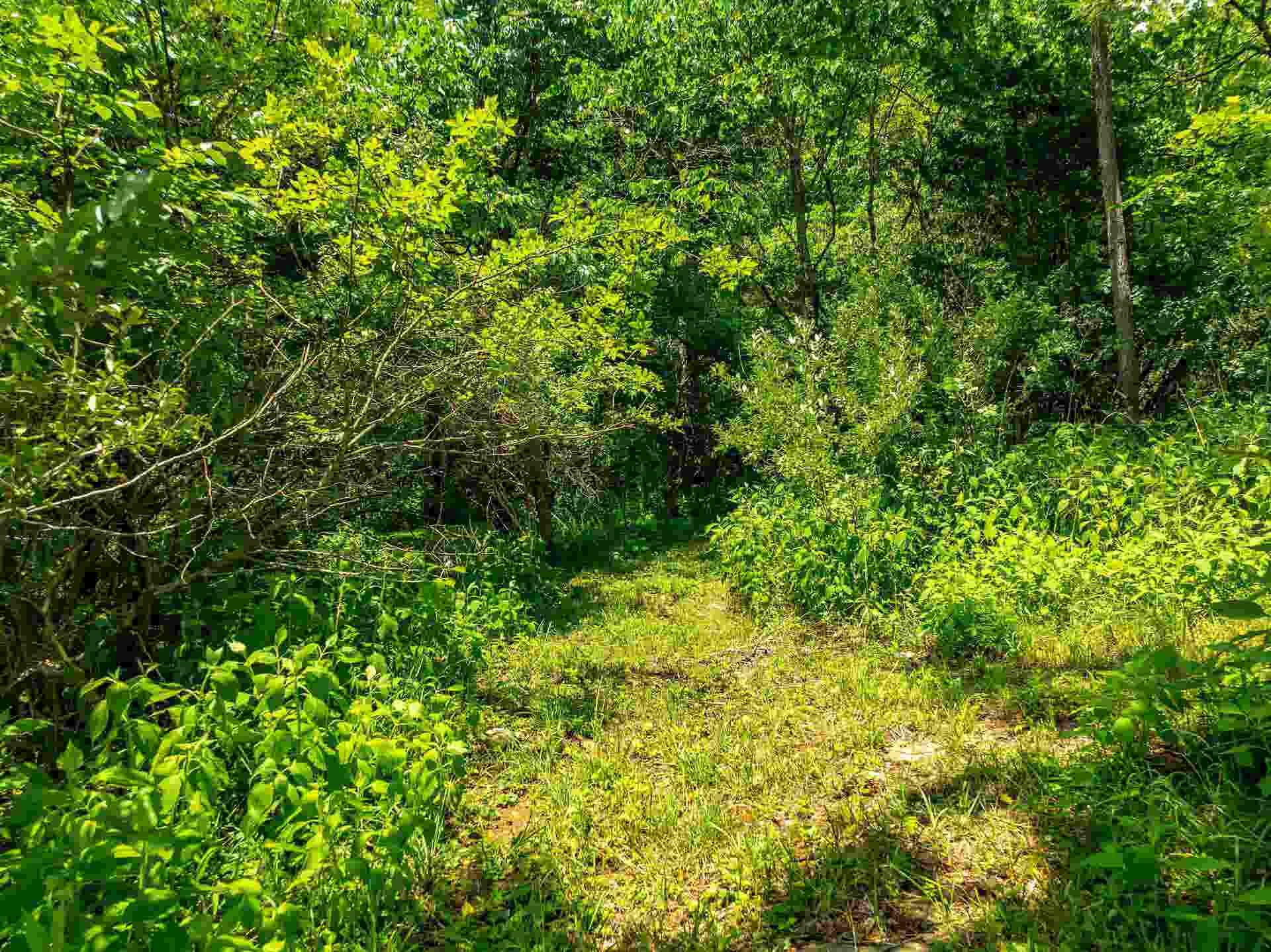 Lot 1 River Ridge Drive, Pearisburg, VA 24134