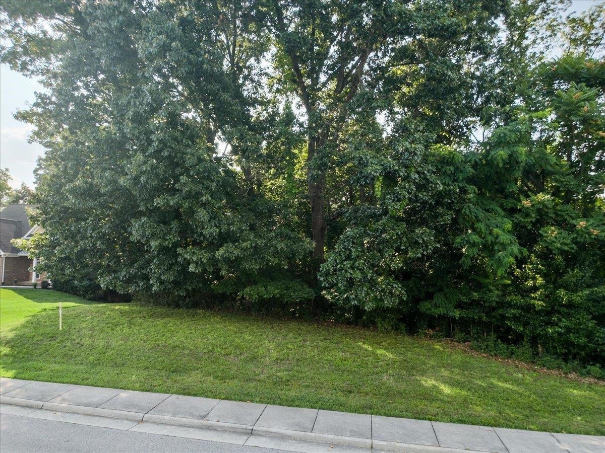 8156 RIVER COURSE Drive, Radford, VA 24141