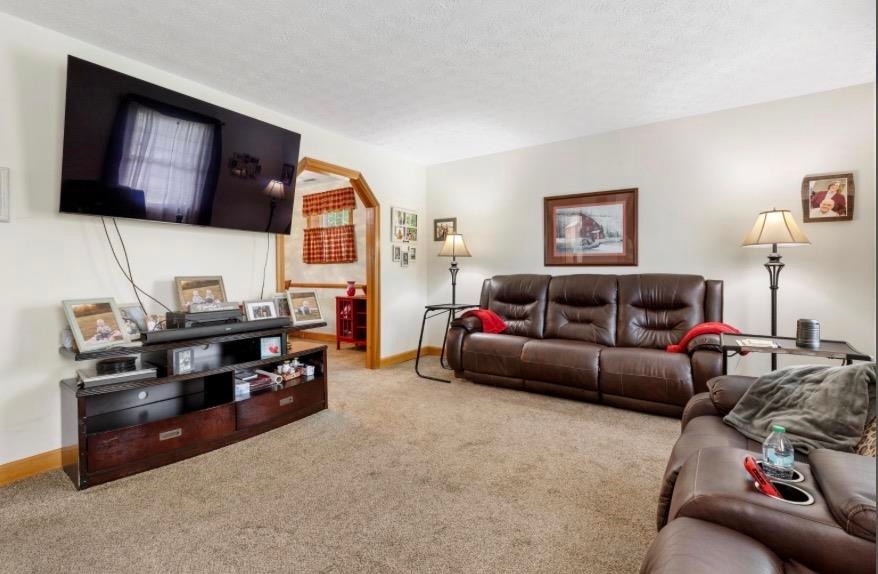 3850 Eagle Country Drive, Riner, VA 24149