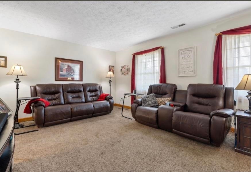 3850 Eagle Country Drive, Riner, VA 24149