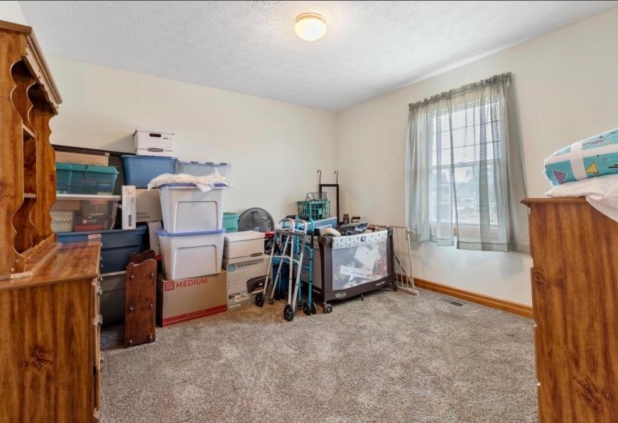 3850 Eagle Country Drive, Riner, VA 24149