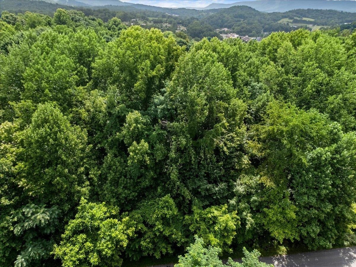 TBD ORCHARD Drive, Pembroke, VA 24136