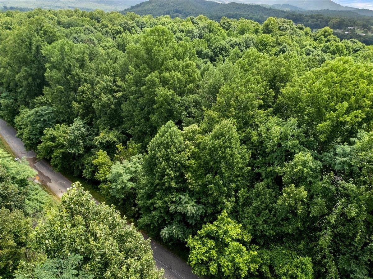 TBD ORCHARD Drive, Pembroke, VA 24136