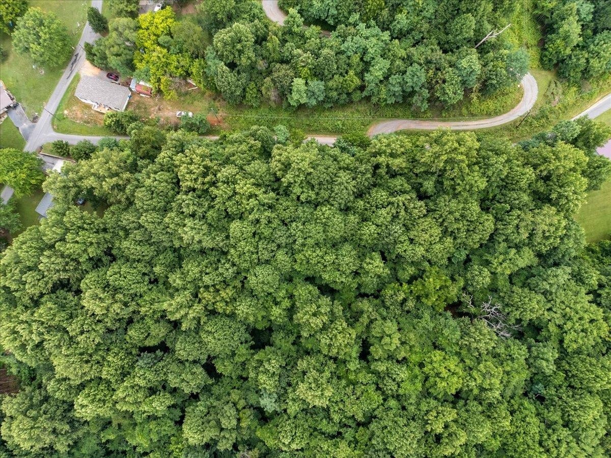 TBD ORCHARD Drive, Pembroke, VA 24136