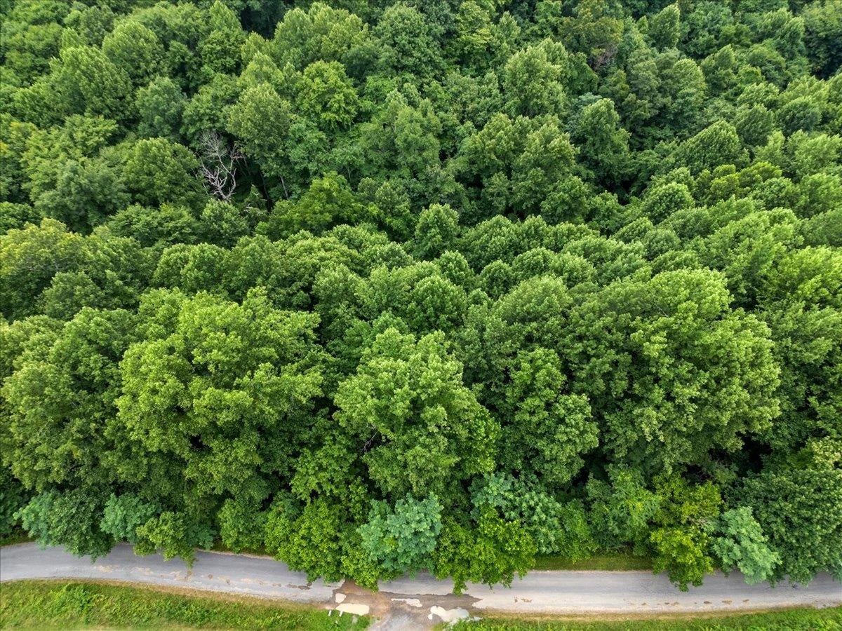 TBD ORCHARD Drive, Pembroke, VA 24136