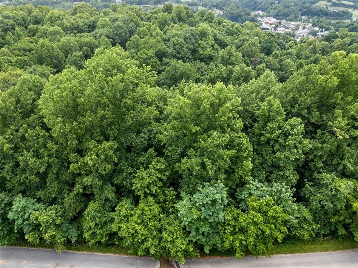 TBD ORCHARD Drive, Pembroke, VA 24136