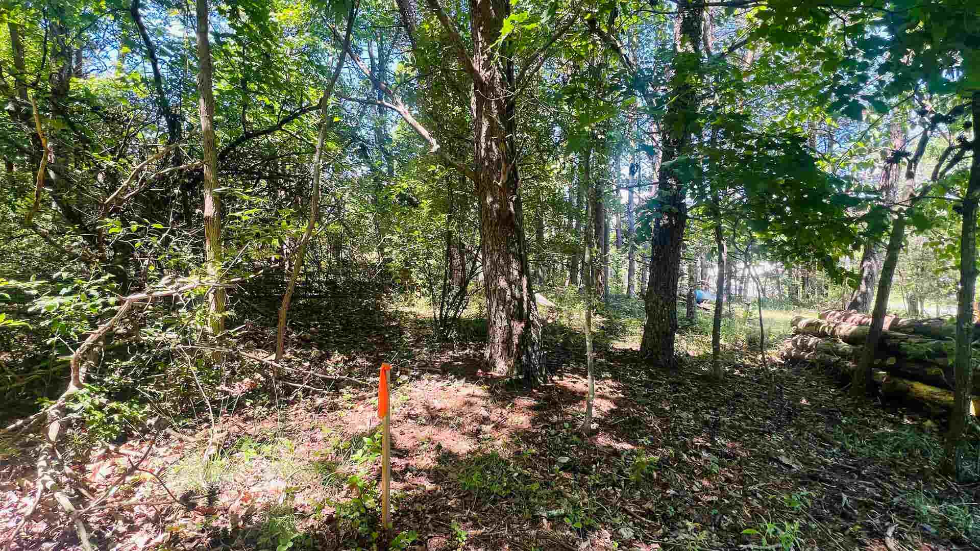 Lot 235 Appalachian Road, Radford, VA 24141