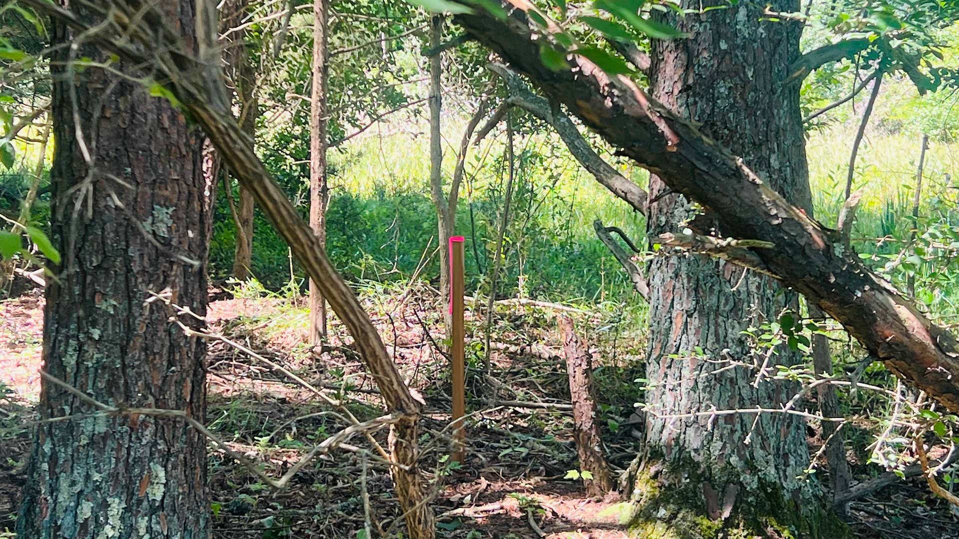 Lot 235 Appalachian Road, Radford, VA 24141