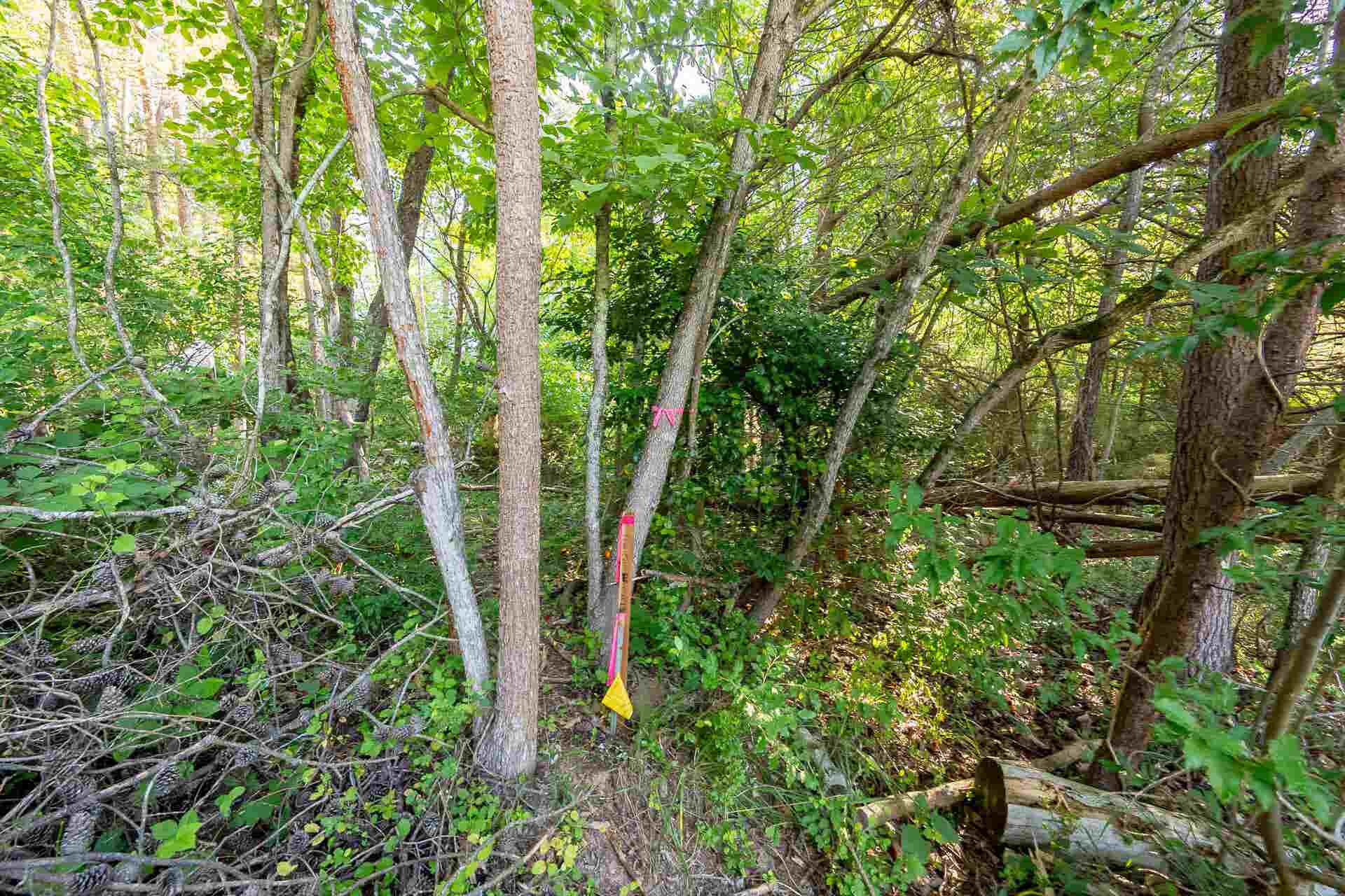 Lot 233 Appalachian Road, Radford, VA 24141