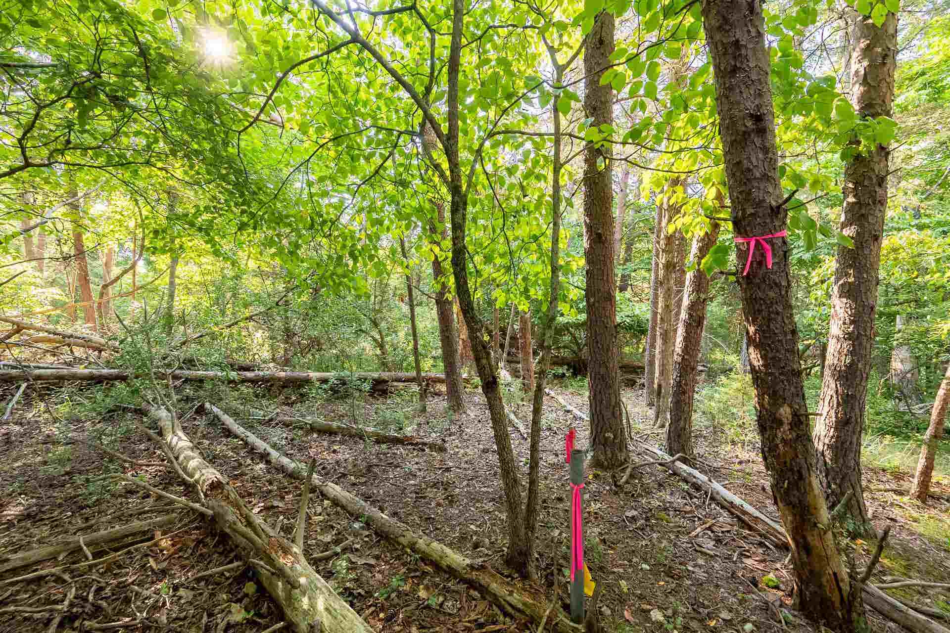 Lot 233 Appalachian Road, Radford, VA 24141