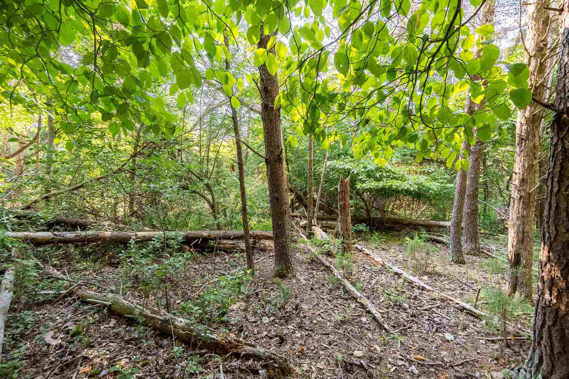 Lot 233 Appalachian Road, Radford, VA 24141