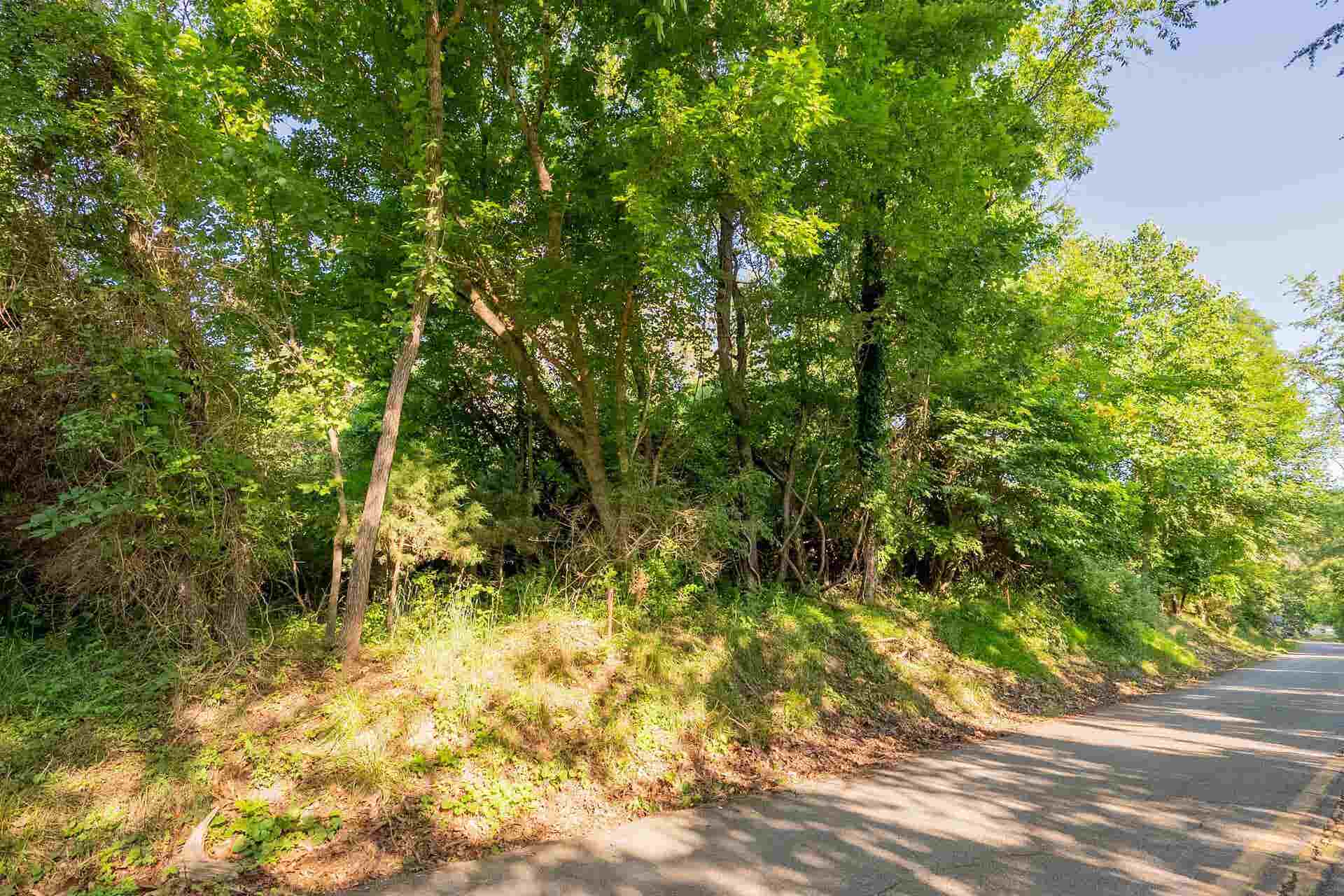 Lot 233 Appalachian Road, Radford, VA 24141