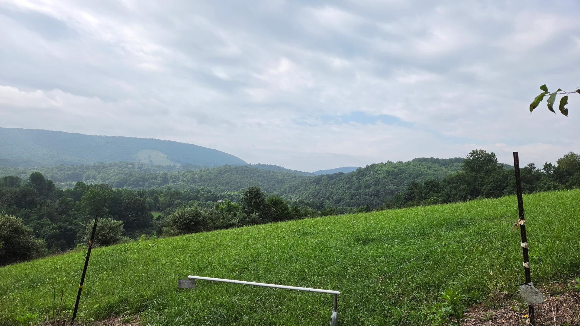 0 Sinking Creek Road, Pembroke, VA 24136