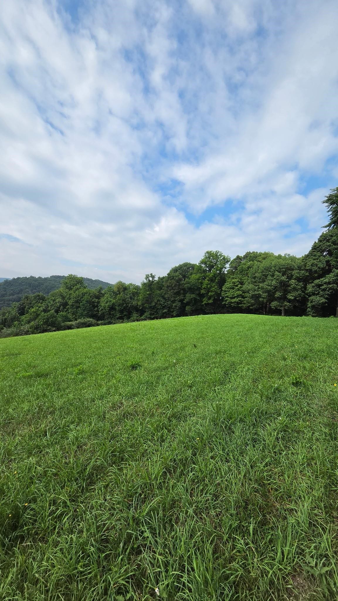 0 Sinking Creek Road, Pembroke, VA 24136
