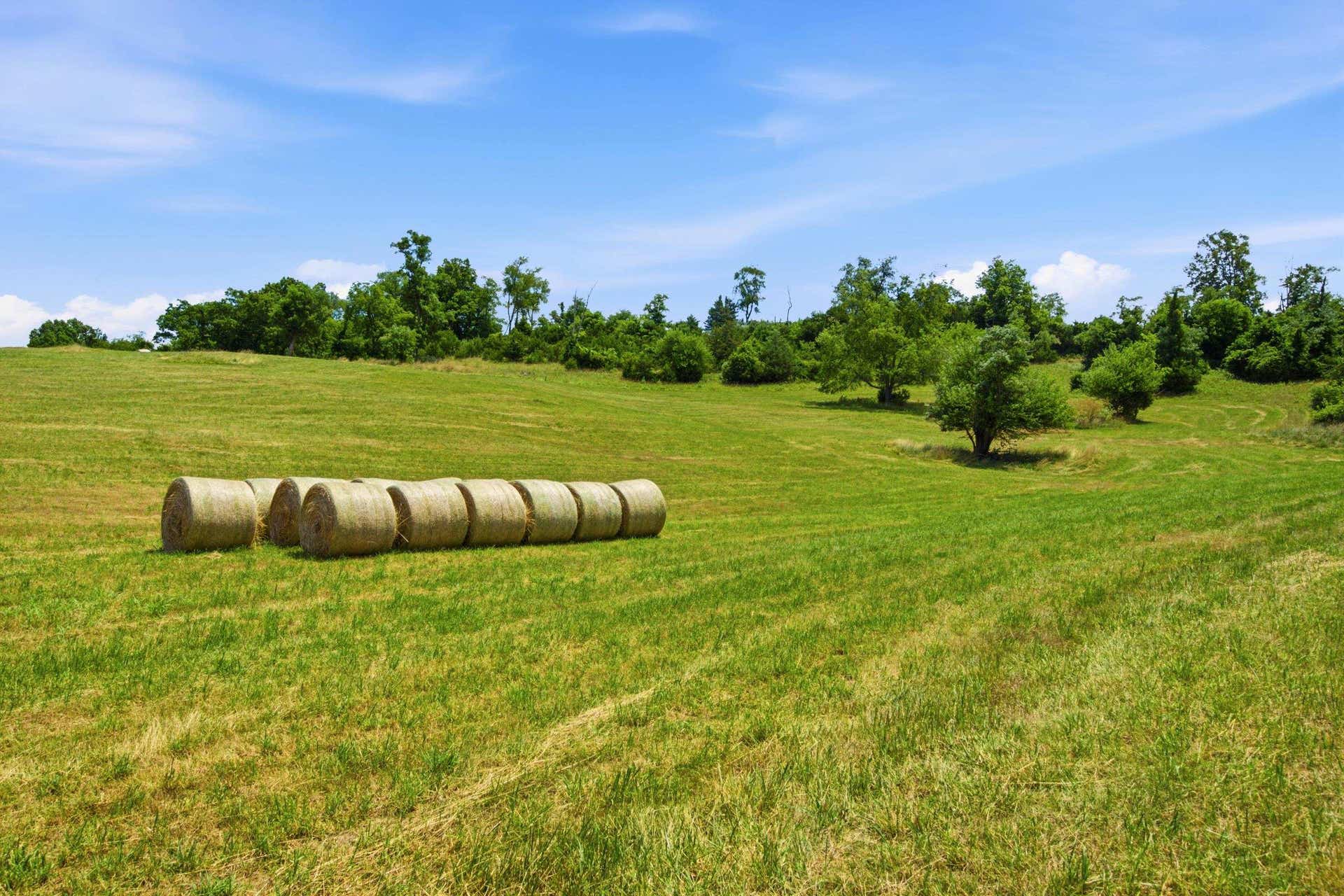 TBD FIRE TOWER Road, Christiansburg, VA 24073
