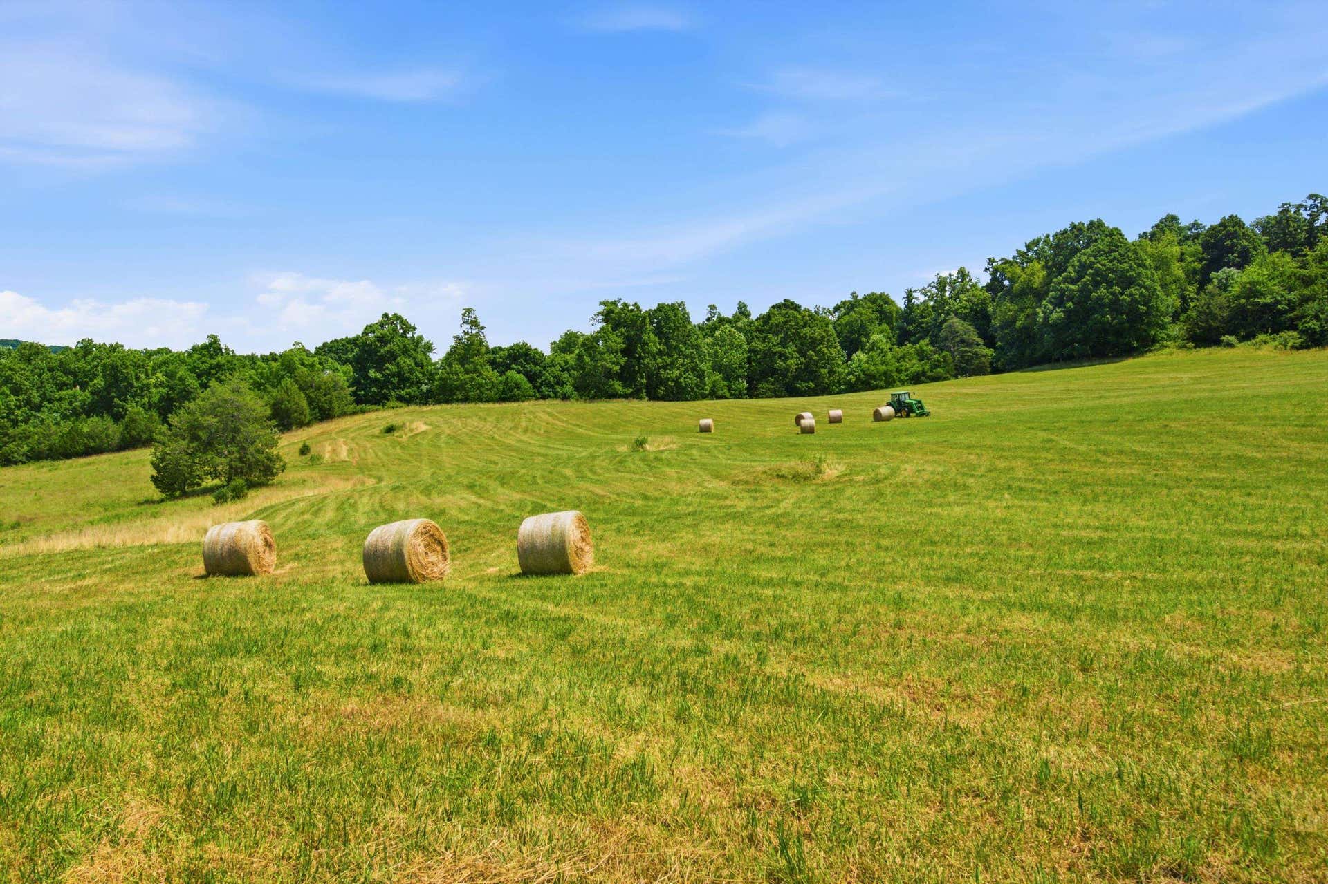 TBD FIRE TOWER Road, Christiansburg, VA 24073