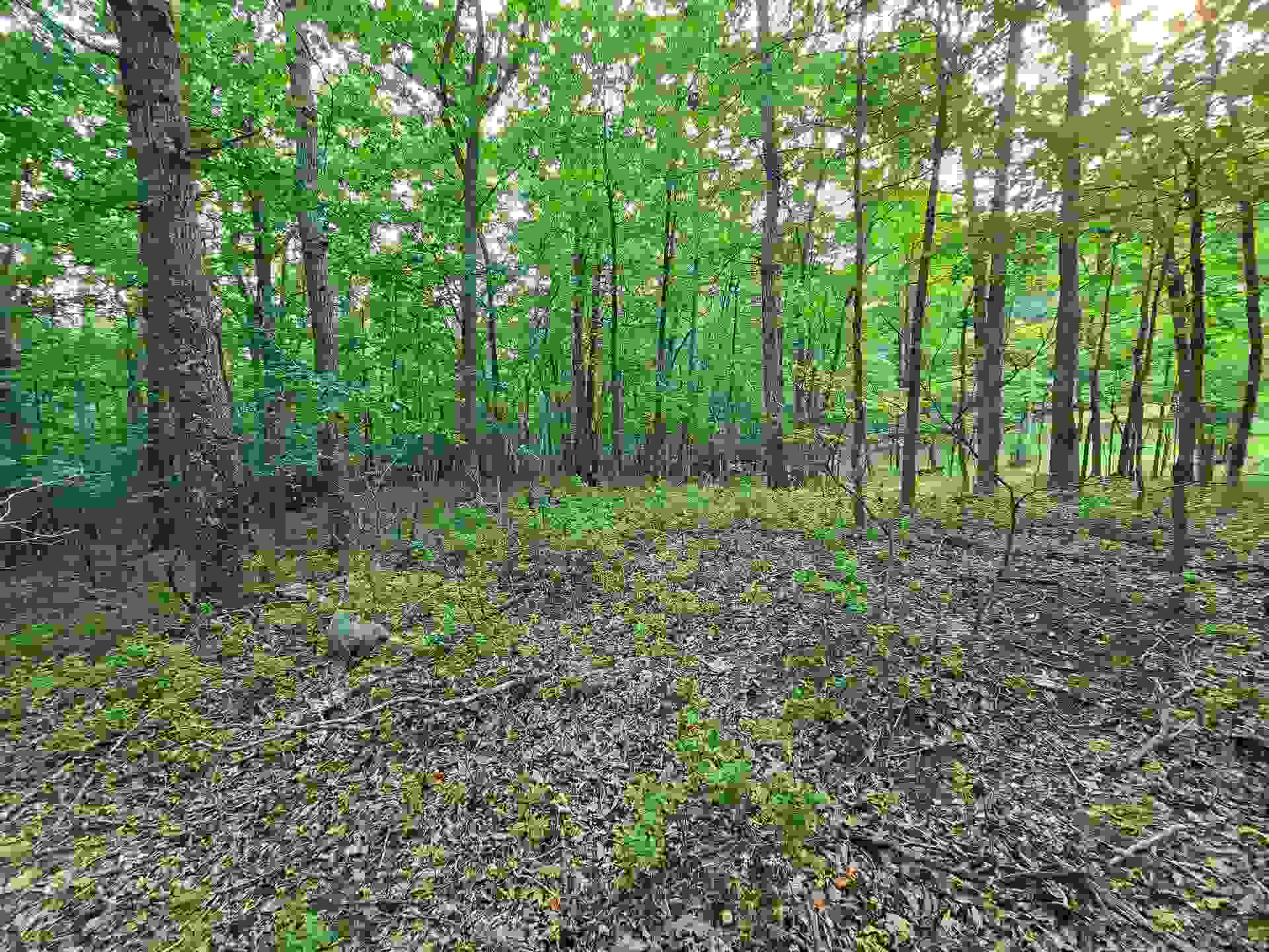 3501 Isabel Court, Blacksburg, VA 24060