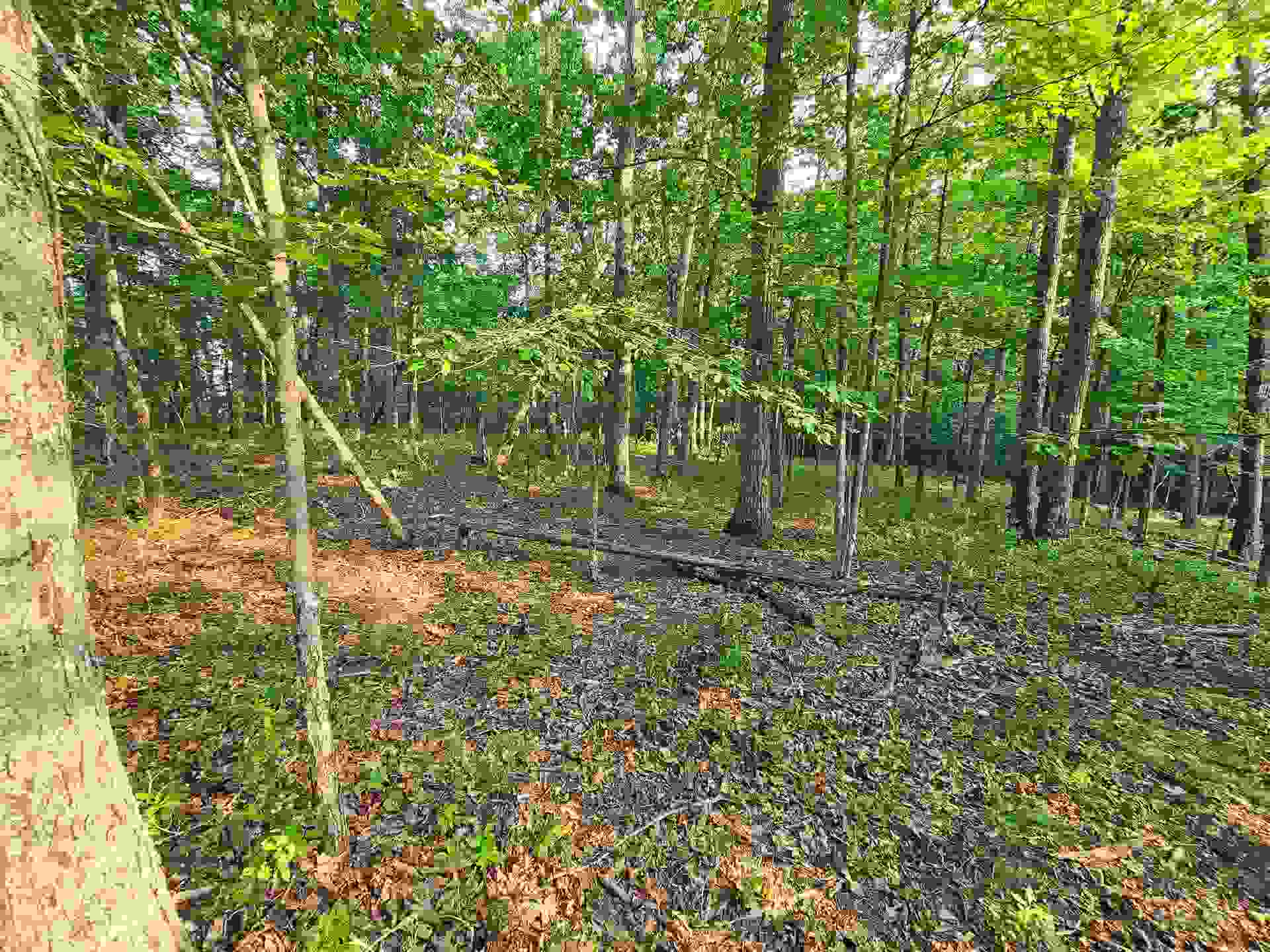 3501 Isabel Court, Blacksburg, VA 24060