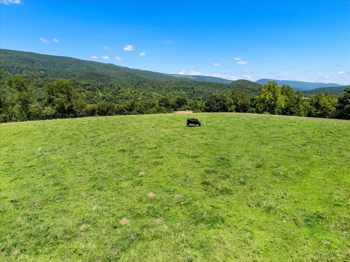 398 Penvir Road, Narrows, VA 24124