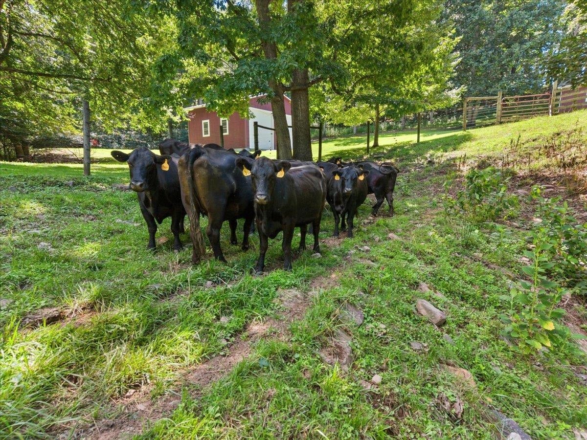 398 Penvir Road, Narrows, VA 24124